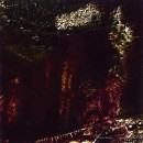 Portale, 2010
